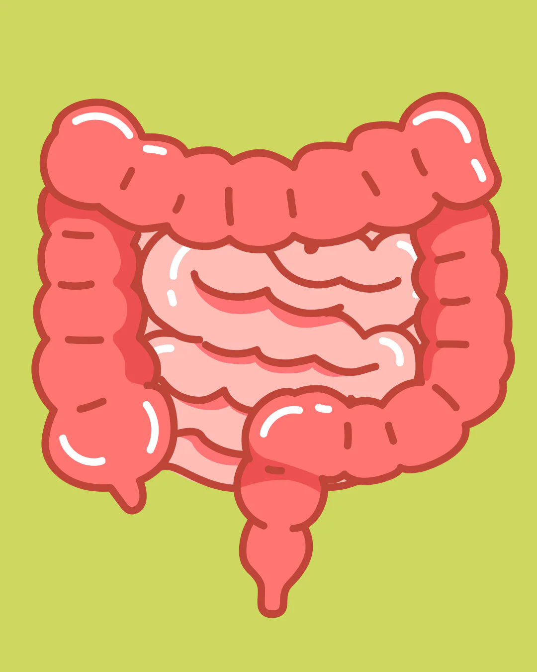 <p><strong>Improved Digestion</strong></p>